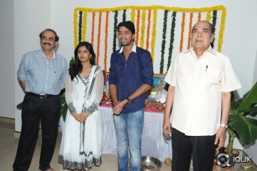 Bandipotu Movie Opening